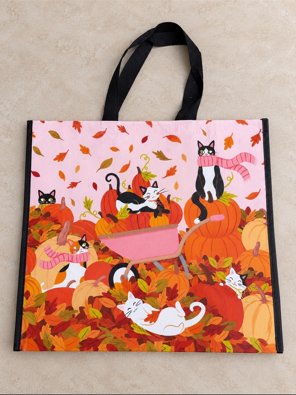 Fall cat print reusable tote bag